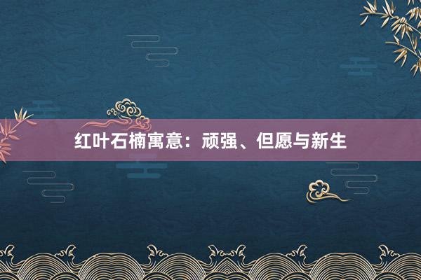 红叶石楠寓意：顽强、但愿与新生
