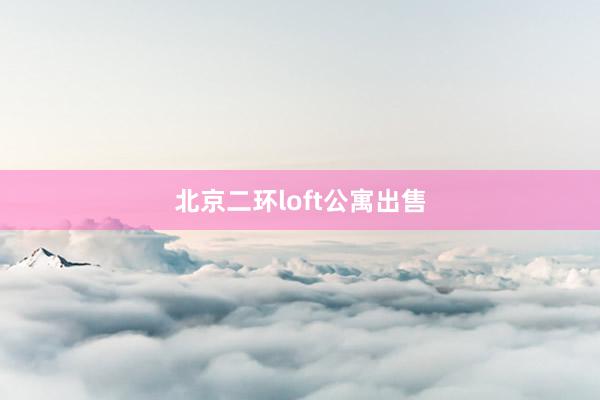 北京二环loft公寓出售